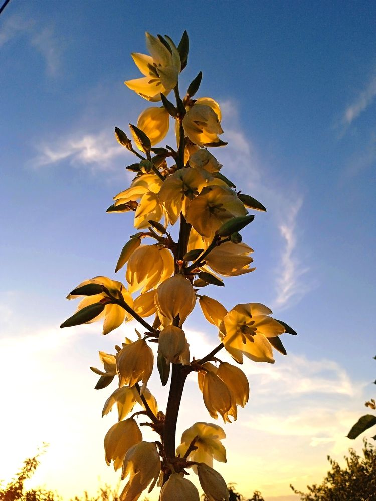 Photograph by Наталья Назаренко