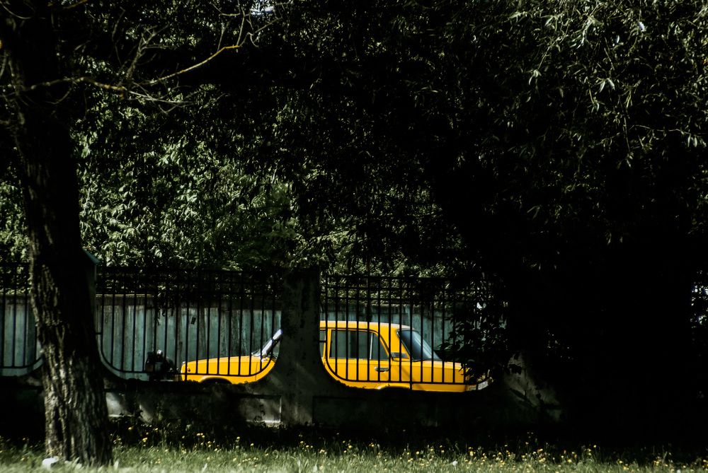 Photograph by Виолетта Митякина