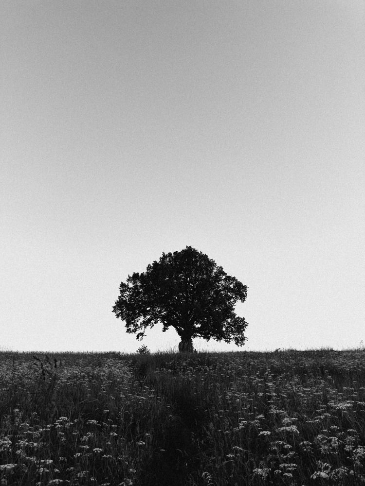 Photograph by Алиса Нежинская