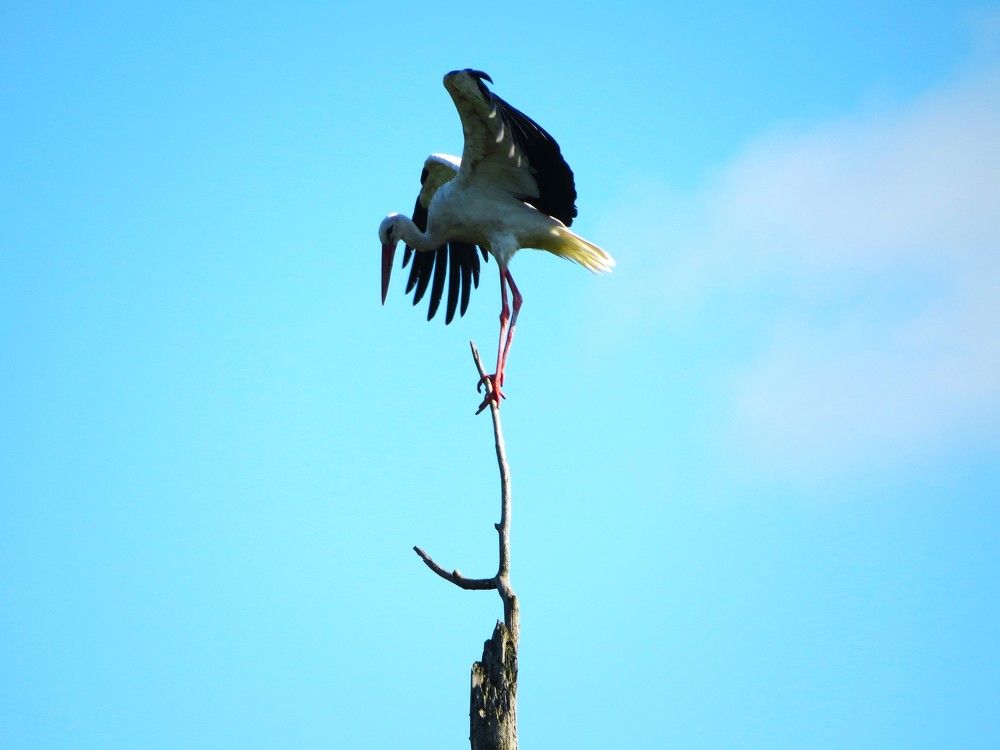 Photograph by Лариса Басова