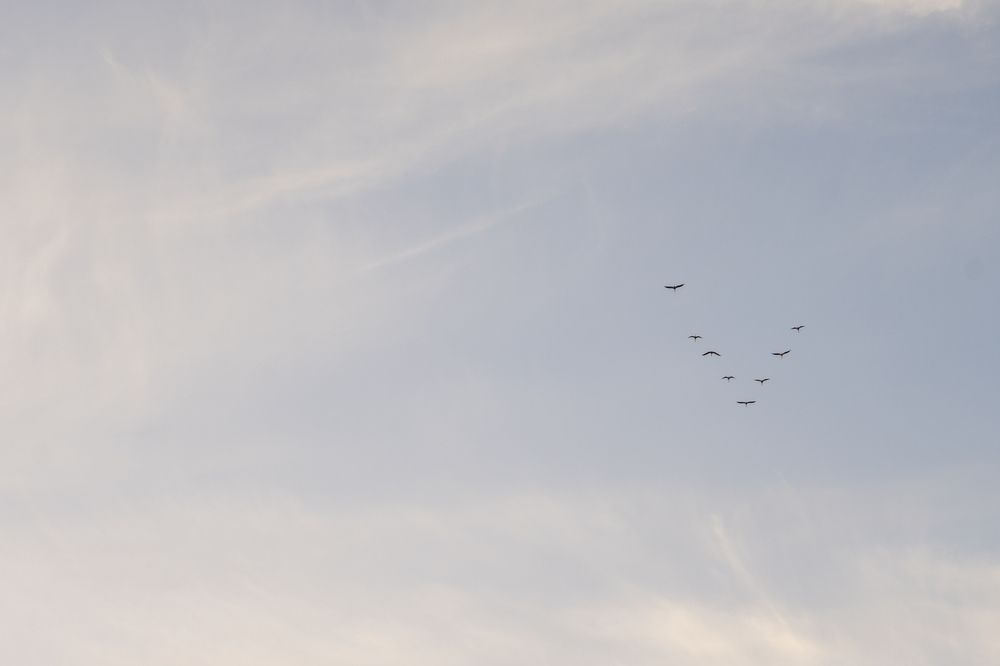 Photograph by Бурняшев