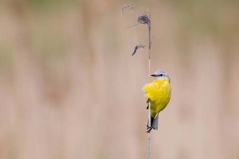 Photograph by Сосновских Вячеслав