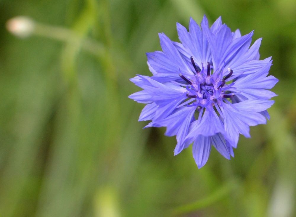 Фотография автора Ольга Беликова