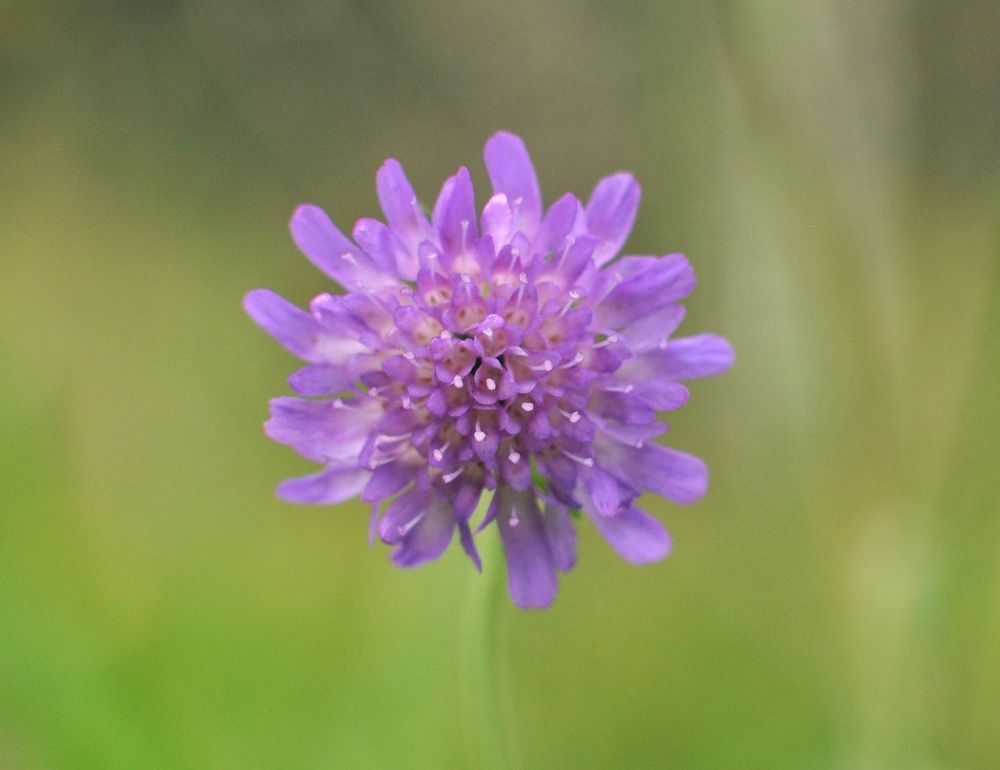 Фотография автора Ольга Беликова