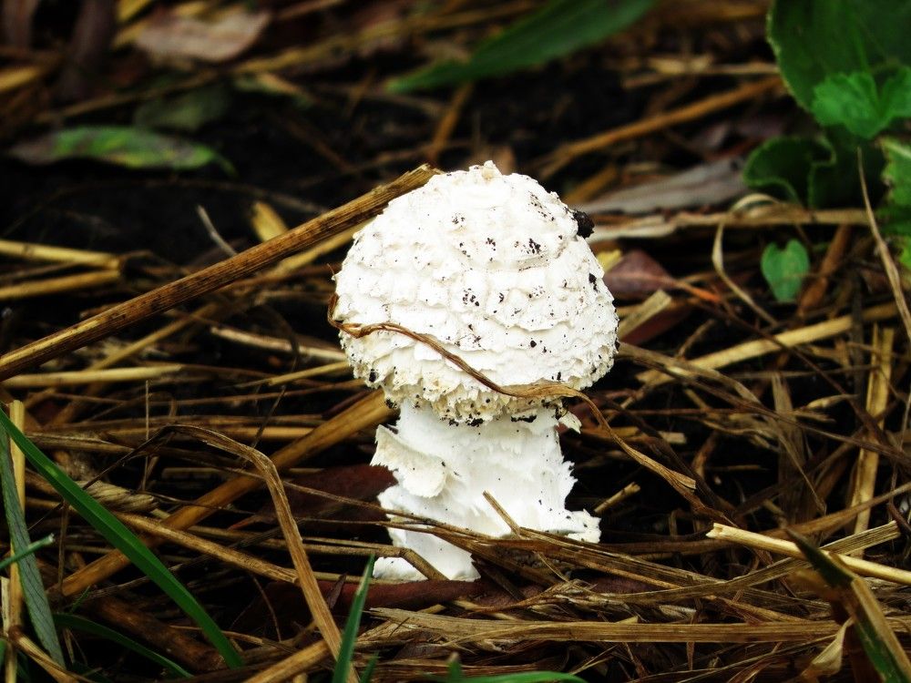 Photograph by Лариса Басова