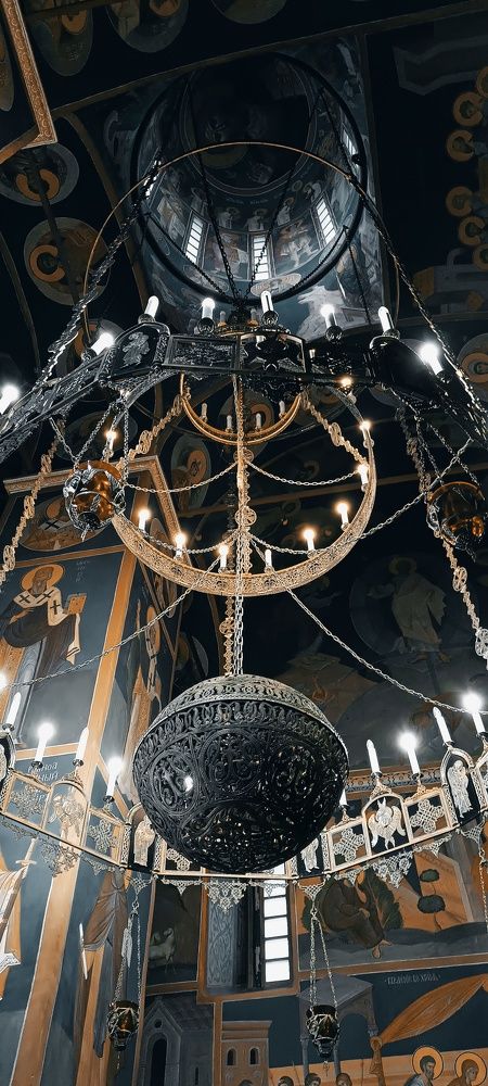 Фотография автора Дарья Петровская