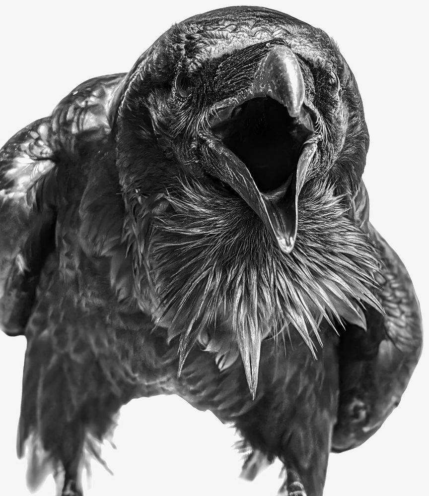 Photograph by Дудников Александр