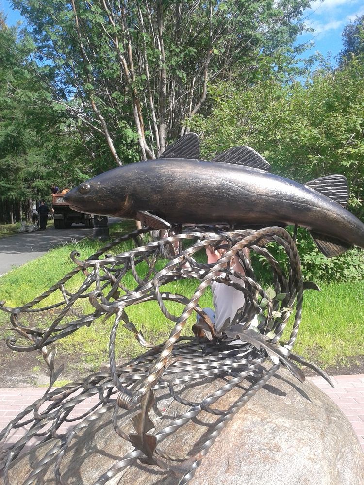 Photograph by Светлана Зотова