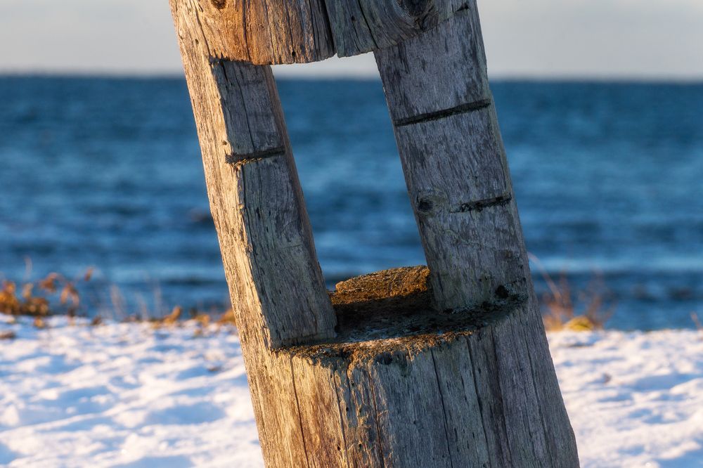 Photograph by Ирина Мошковская