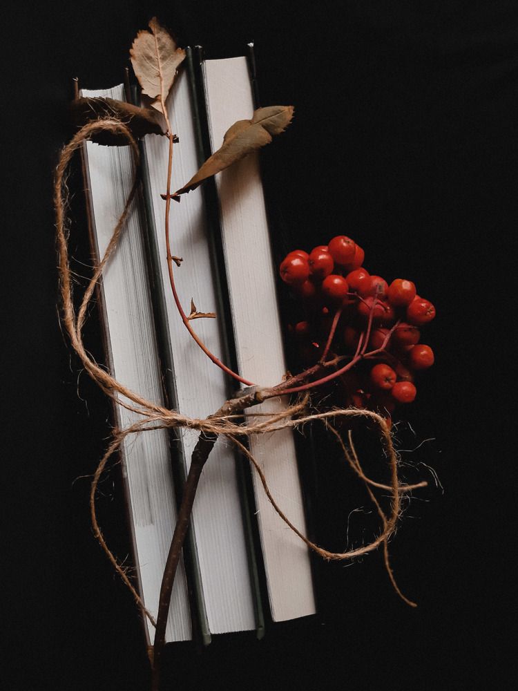 Photograph by Алия Латыйпова