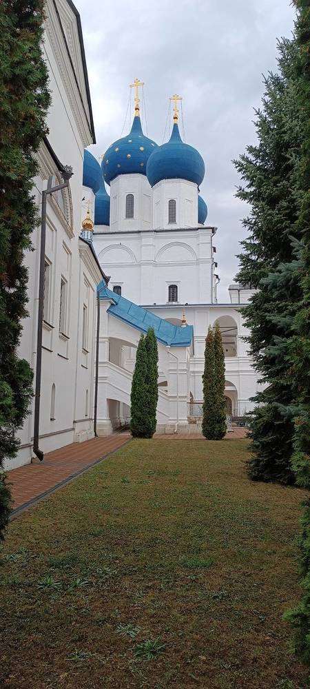 Фотография автора Дарья Петровская