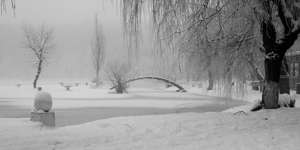 Photograph by Александр