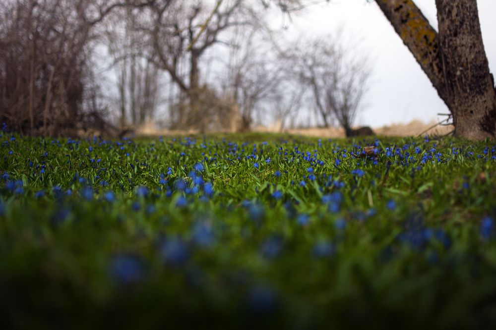 Photograph by Евгений Адуцкевич