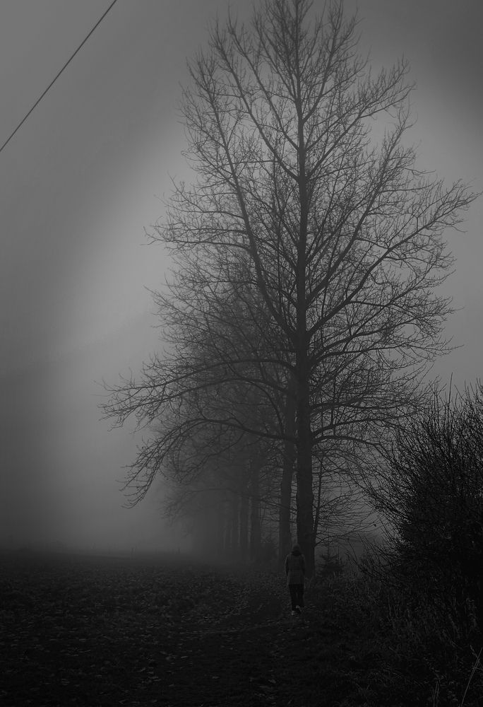 Photo #11342007