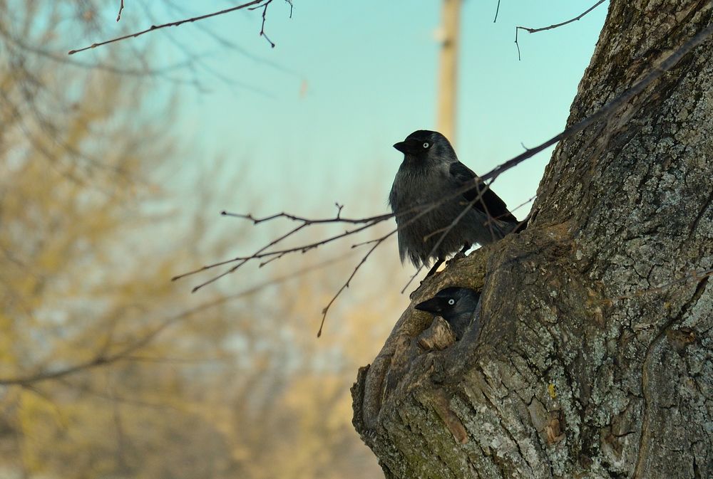 Photograph by Мирон Сергей