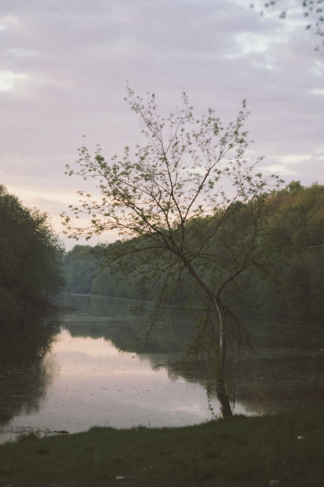 Photograph by Антон Киптиков