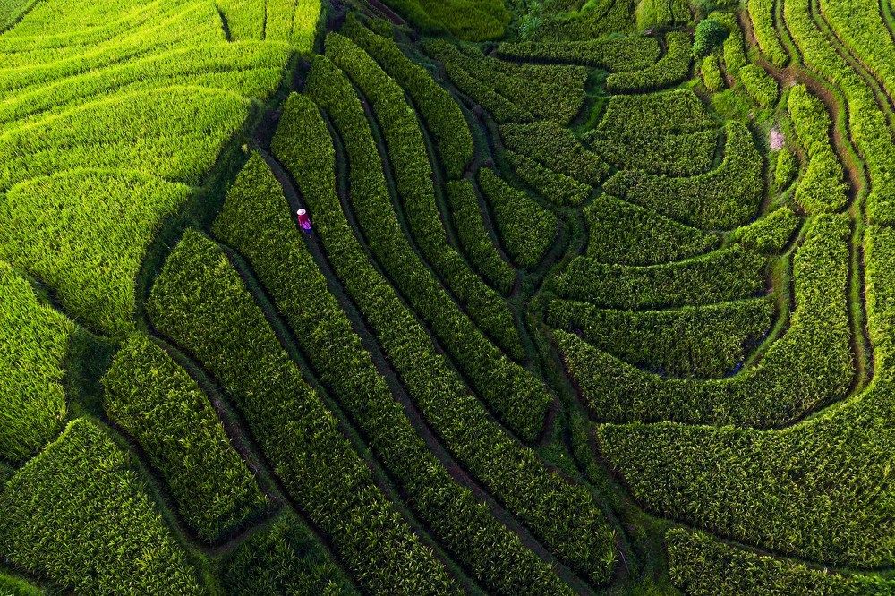 Photograph by  rahmad himawan