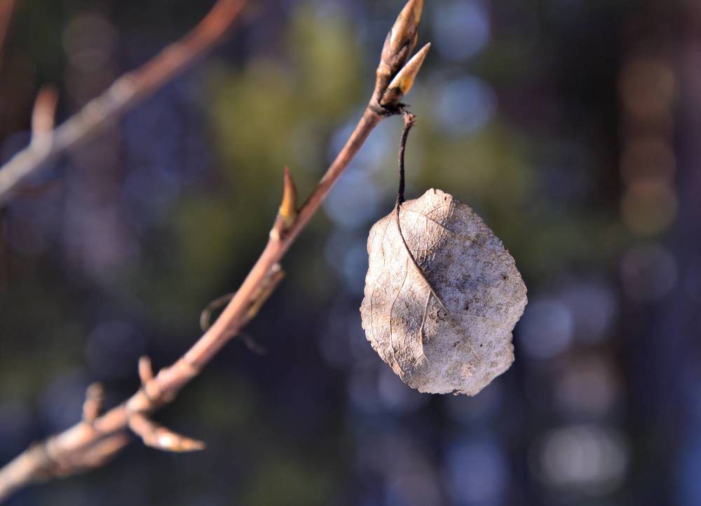 Photograph by Мирон Сергей