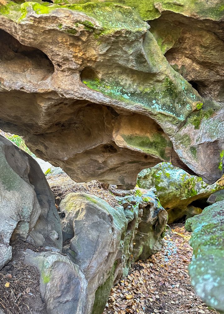 Photograph by Екатерина Курская