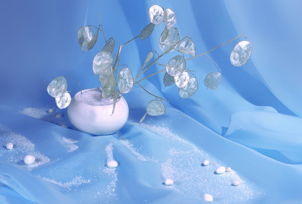 Photograph by Заболотская Ольга