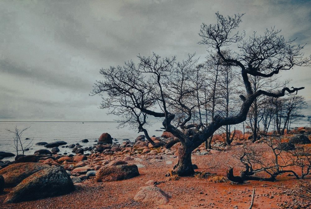 Photograph by Aleksandr Kolonsky