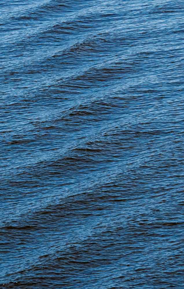 Photograph by Виталий