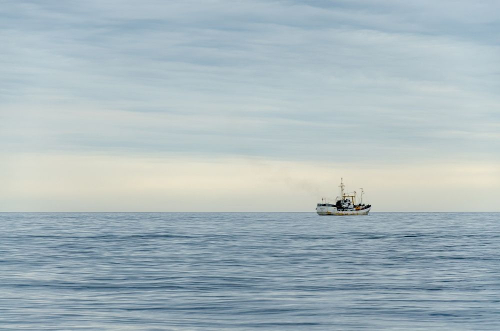 Фотография автора Lyudmila Yakovleva