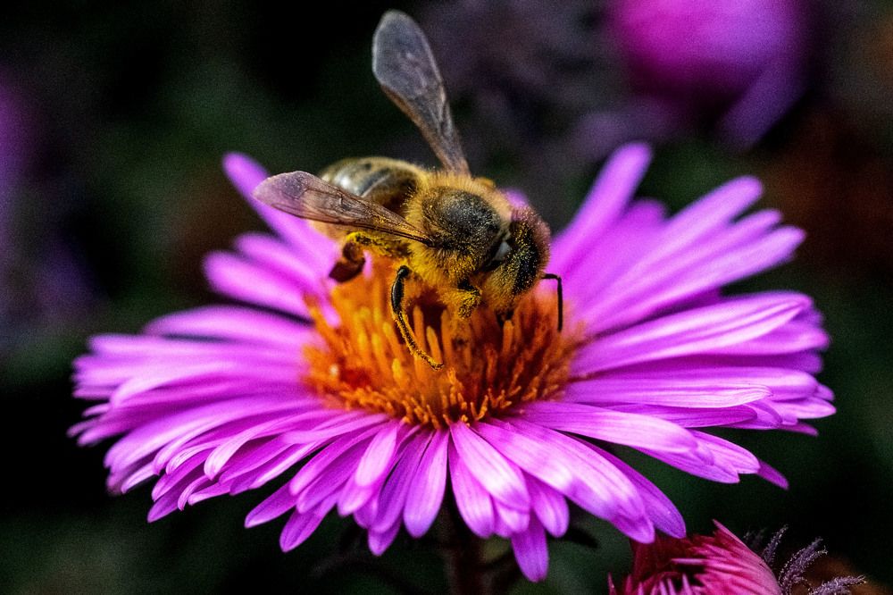 Photograph by Александр Стрельченко