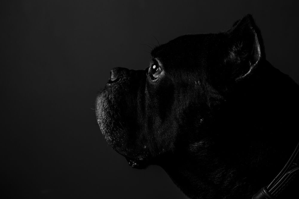 Photograph by Алексей Ефанов