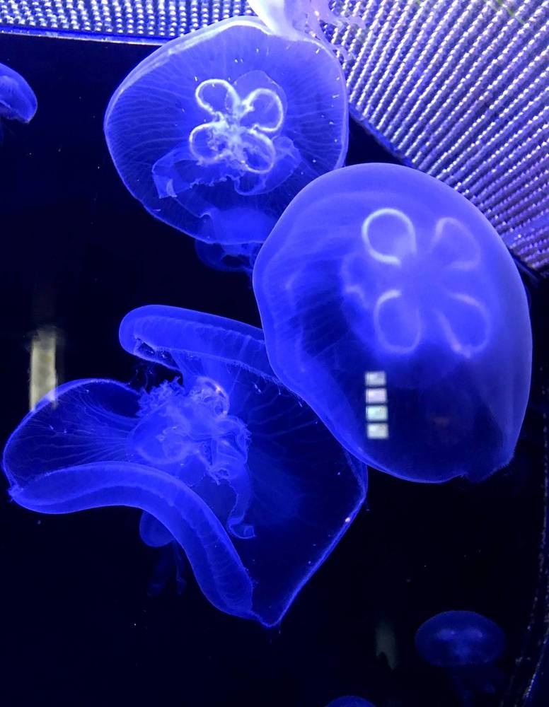 Photograph by Наталья Ермакова