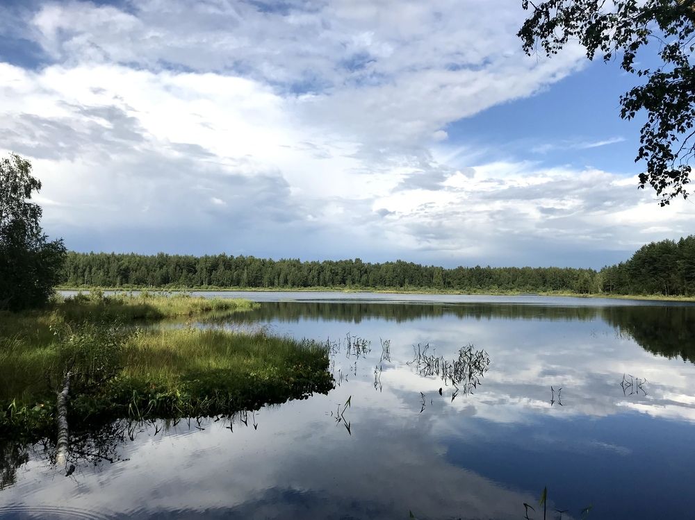 Photograph by Наталья Ермакова