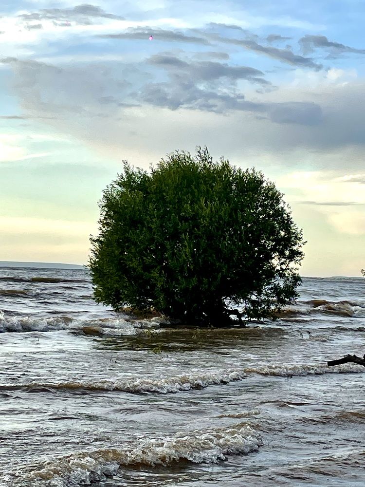 Photograph by Nadya Sterligova