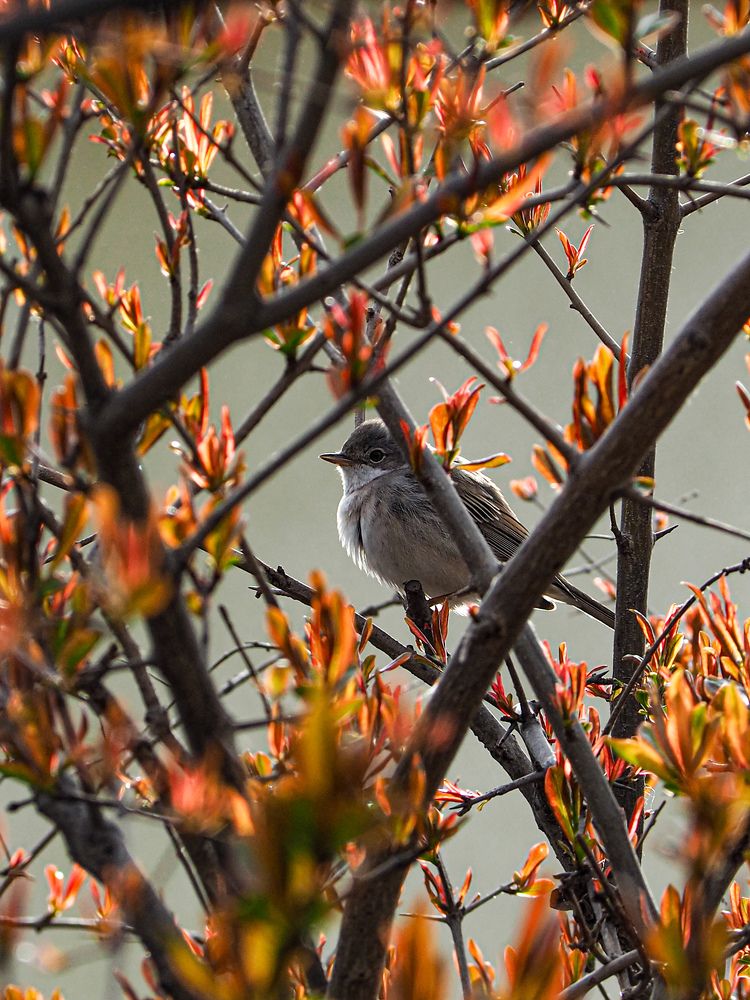 Photograph by Виталий