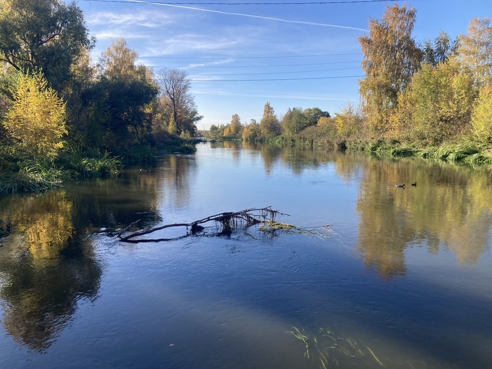 Photograph by Светлана