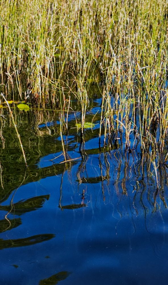 Photograph by Елена Юдина