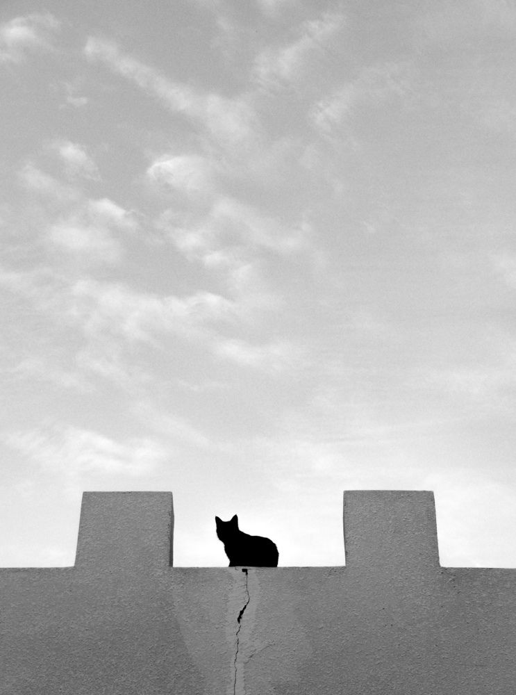 Фотография автора Ibraheem Alsaid