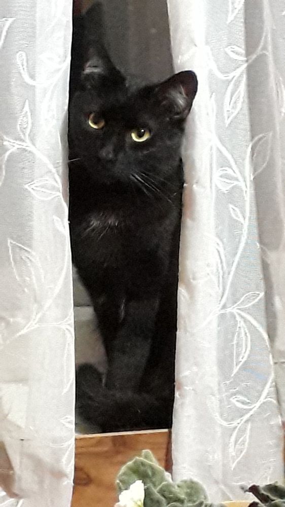 Photograph by Татьяна Солтан