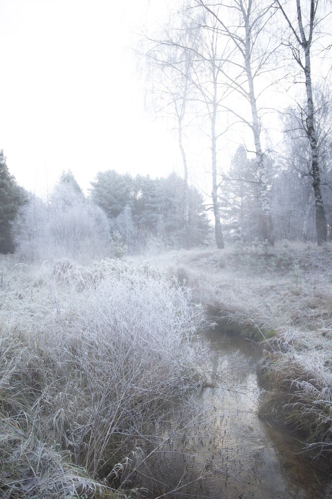 Photograph by Наталья Гранфельд