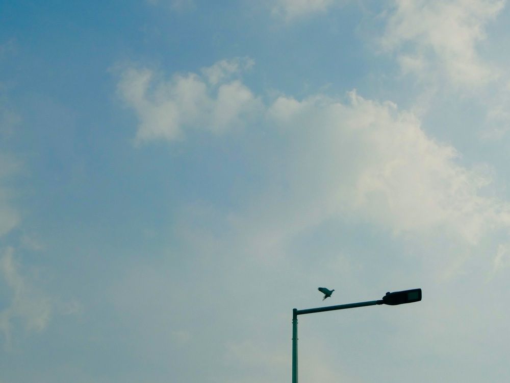 Фотография автора Ibraheem Alsaid