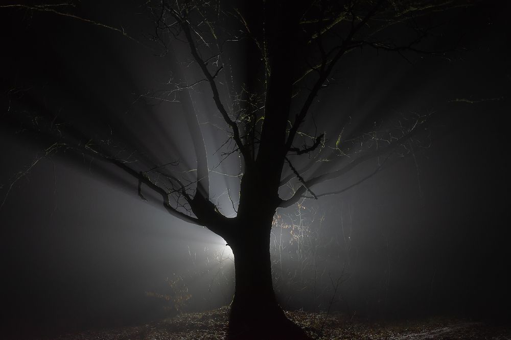 Photograph by Захаров Дмитрий