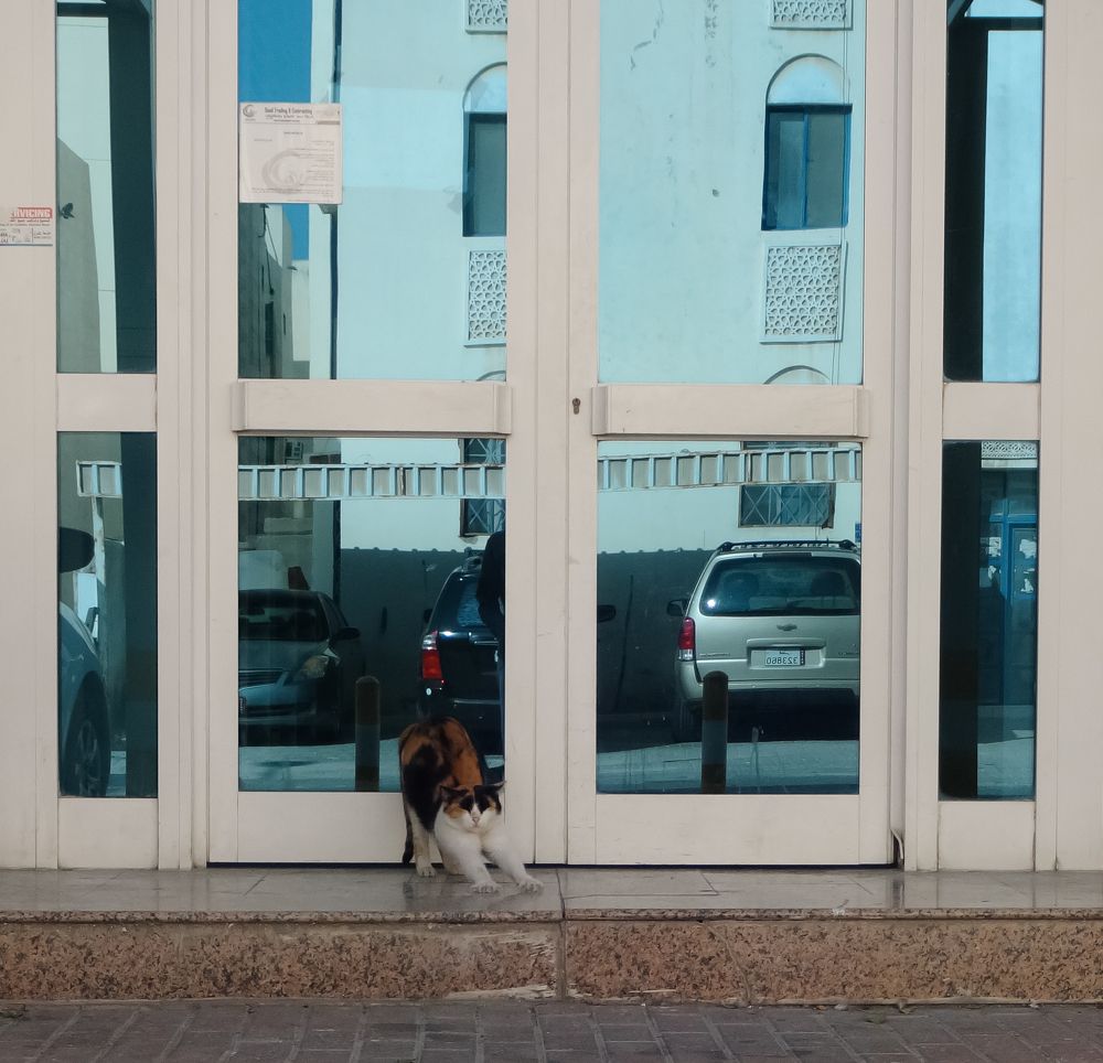 Фотография автора Ibraheem Alsaid