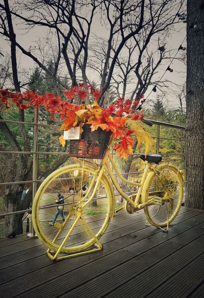 Фотография автора НАТАЛЬЯ СЕВЕР