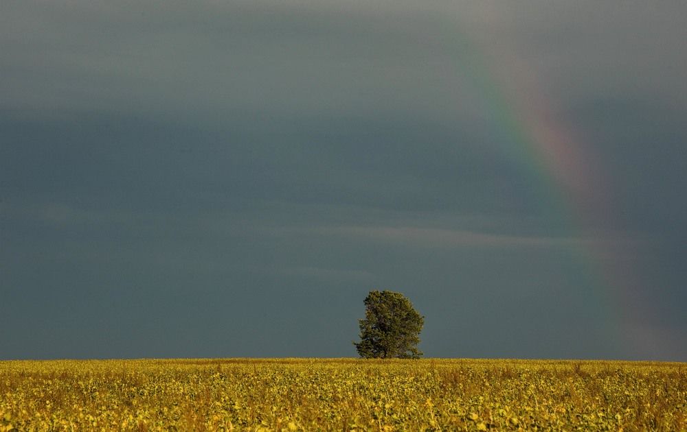 Photograph by Елена