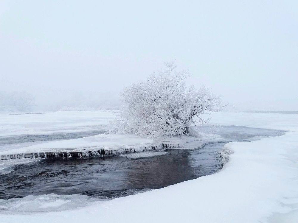 Одиночество во льдах.