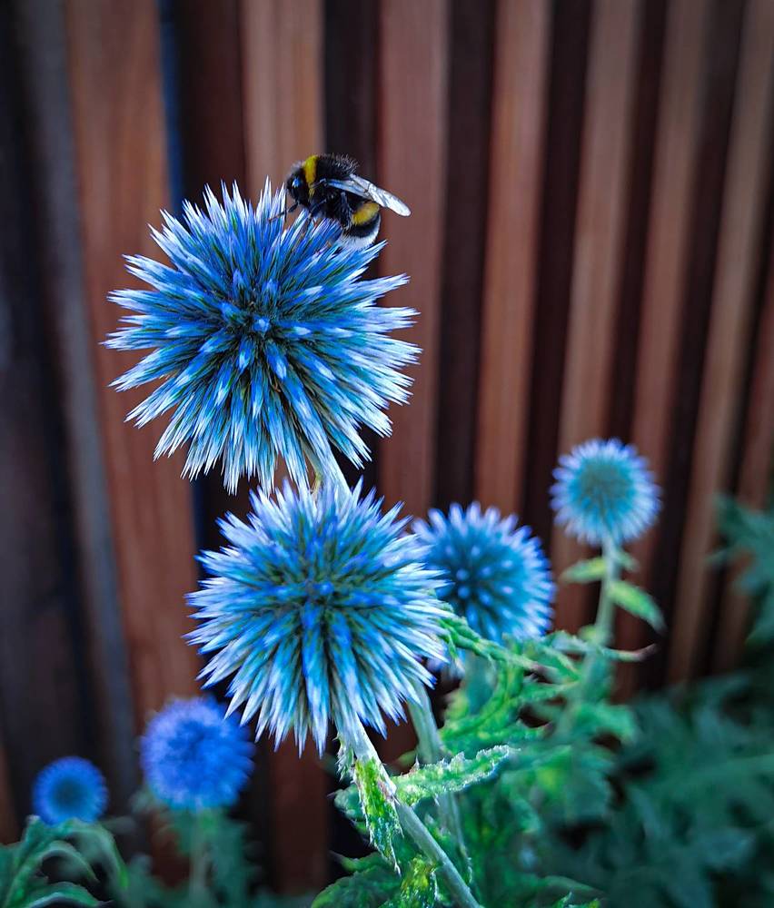 Photograph by Inna Ivanova