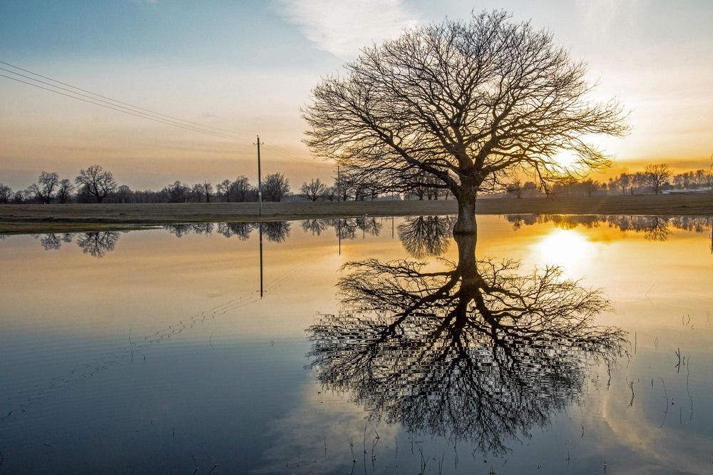 Photograph by Елена