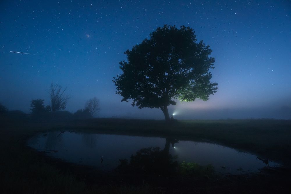 Photograph by Захаров Дмитрий