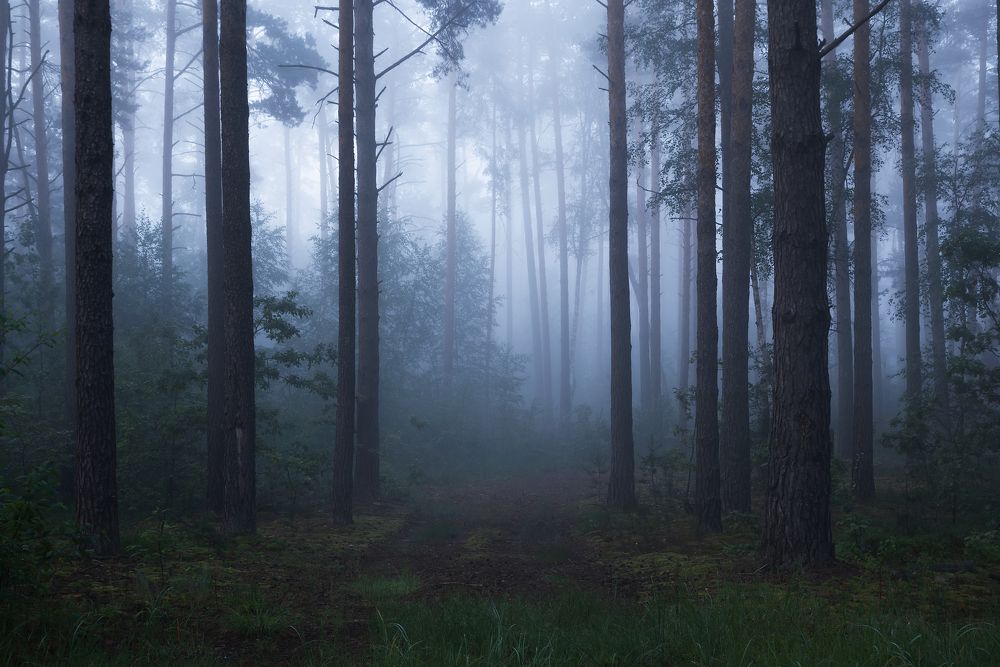 Photograph by Захаров Дмитрий