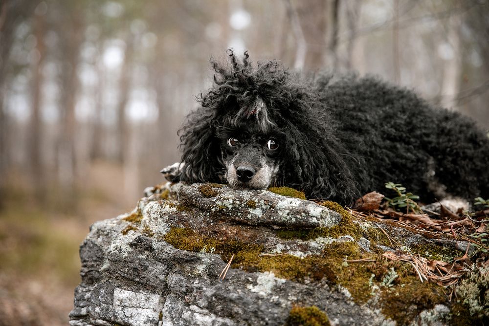 Photograph by Оксана Кузнецова