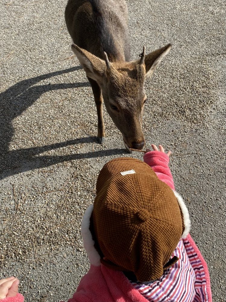 Фотография автора Бакалова Ирина